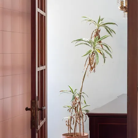 Apartmán Telheiras 2e
